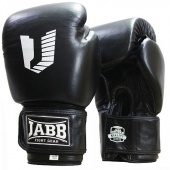Боксерские перчатки Jabb JE-4021/Asia Legend черный 10oz
